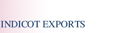 Indicot Export logo