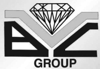 BVC Logistics Pvt Ltd logo