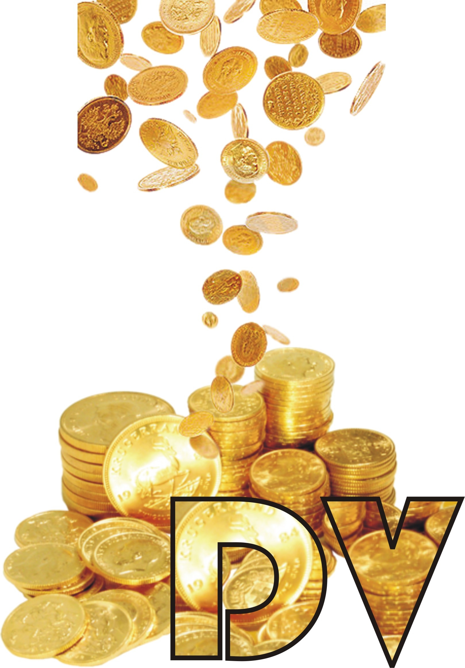 DV Security & Housekeeping Services logo