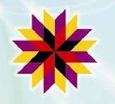 Impressive Star Softwares Pvt Ltd logo